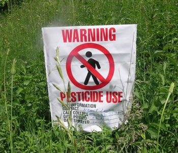 Should Rossland ban pesticides? - Bylaw comes before council this week