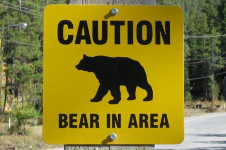 Bear Aware: the bear necessities