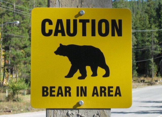 Bear Aware: the bear necessities