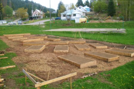 Community Gardens: A blooming success