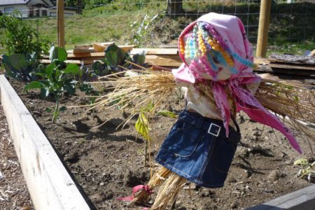 Taking Root: Rossland’s Community Garden celebrates the fruits of its labour--just in time for Labour Day!