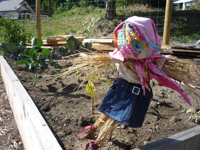Taking Root: Rossland’s Community Garden celebrates the fruits of its labour--just in time for Labour Day!