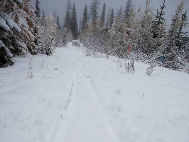 It's back! - First tracks of the season claimed on Mt. Crowe