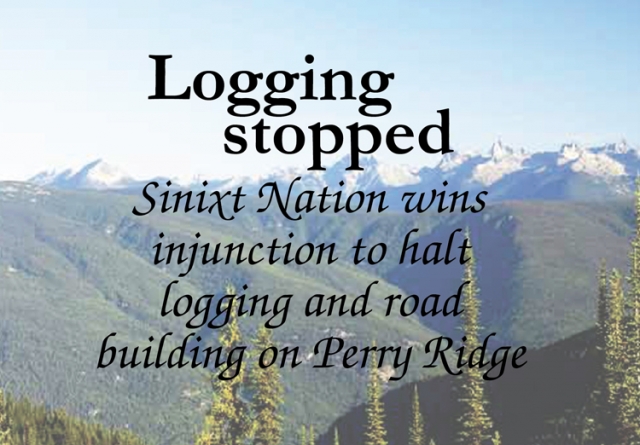 Logging stopped as Sinixt win injunction in court