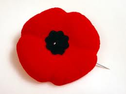 Remembrance Day: Giving everything so we could have something