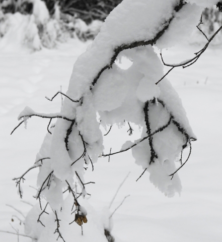 Let it snow: snowfall warning continues for West Kootenay