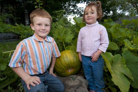 Get your gourd on! The great Rossland pumpkin growing competition returns