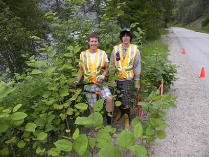 Invasive plant “Knot” welcome in Trail