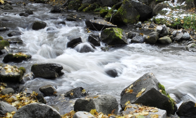 Kokanee Creek Provincial Park benefits three times over from provincial payout