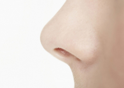 There are only 14 different kinds of noses, study says