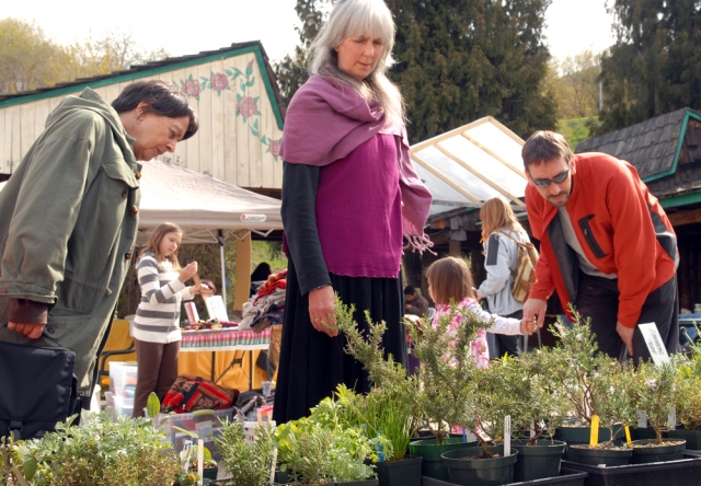 Fall Fair and climate day of action settle into Nelson this weekend