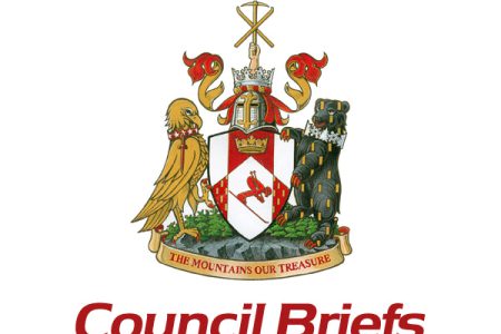 Council's committee appointments are announced