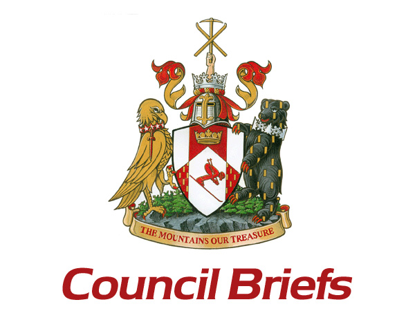 Council's committee appointments are announced