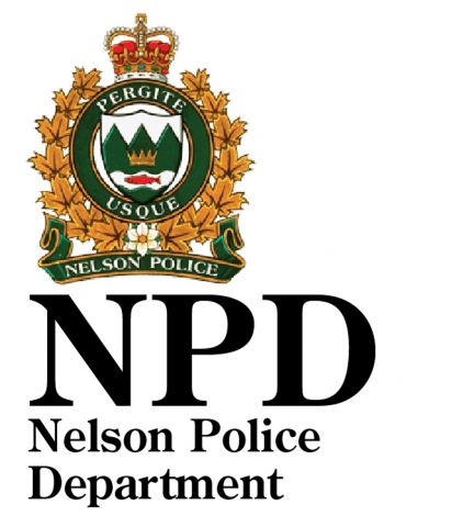 Nelson police call arresting circumstances 'bizarre'