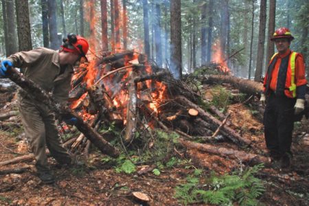 Wildfire prevention fuel treatments to hit high gear this spring around Rossland