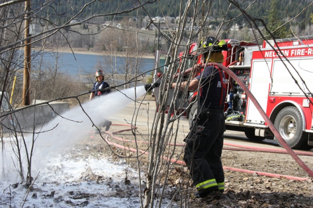 Nelson Fire Department quickly extinguishes brush fire Monday