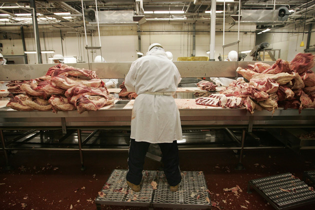 USA: The best, most disgusting reporting on food safety