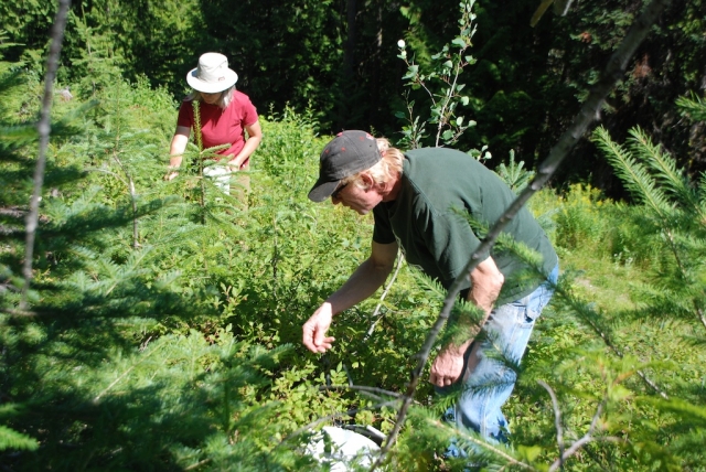 Rossland recognized for efforts to climb Mt Sustainability