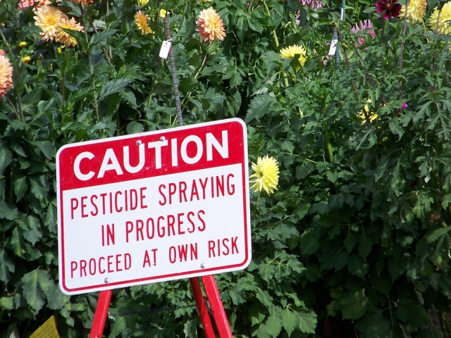 BC pesticide committee offers misguided recommendations due to reliance on a deficient pesticide regulatory system