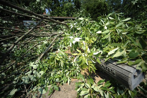 U.S. residents in east struggle without power after storms