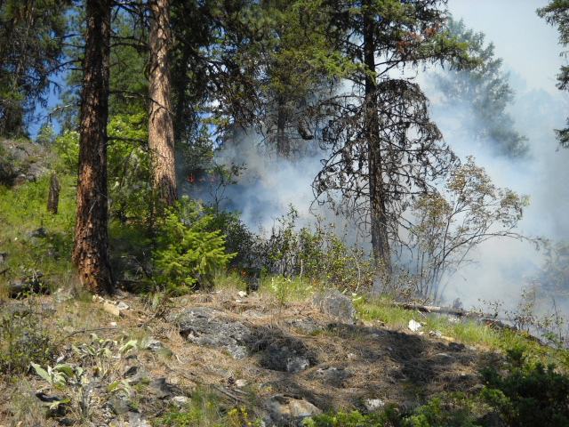 Fire still a concern, despite soggy wet weather in the West Kootenay