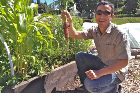 New gardener grows reams of greens in small 4x8 community plot