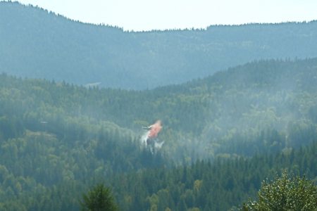 Crews squelch forest fire near golf course two weeks ago