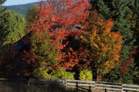 Urban gardens, infill, arable edges, and the Agricultural Land Commission debated by Rossland's council