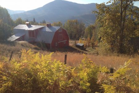 COMMENT: Happy young farmers in Happy Valley will lease, not buy