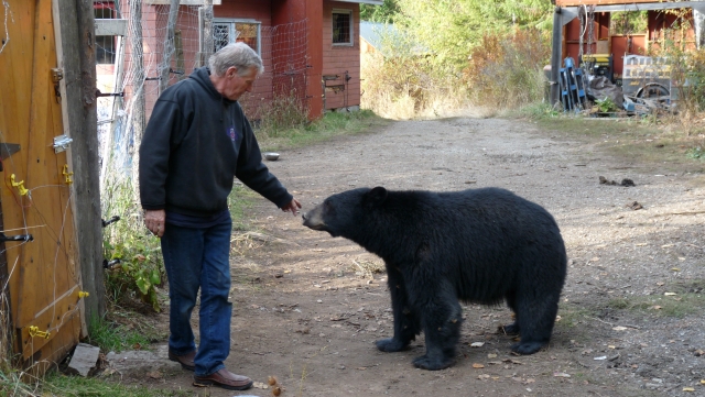 Judge throws out Bear Dude's pot charges