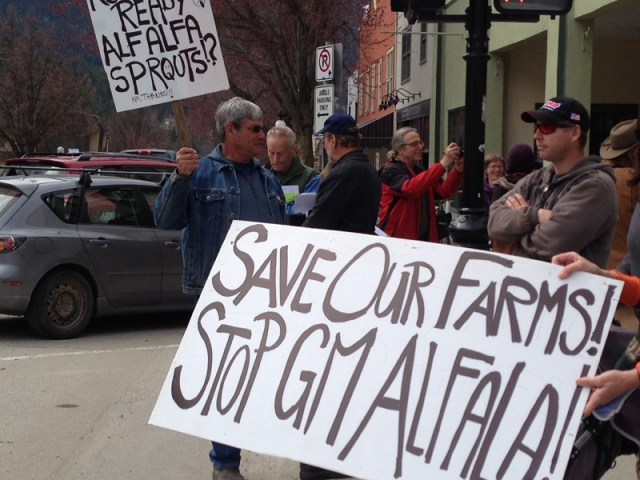 Stop 'genetically modified alfalfa' protest comes to Nelson