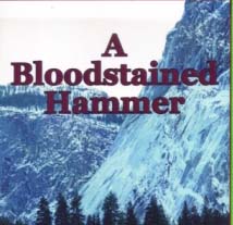 Co-authors of A Bloodstained Hammer host book signing Saturday