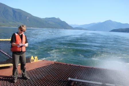 Arrow Lakes Reservoir gets another $1.25 million in fish food