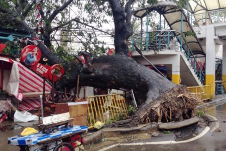 BC Liquor stores to accept donations for Philippines typhoon relief