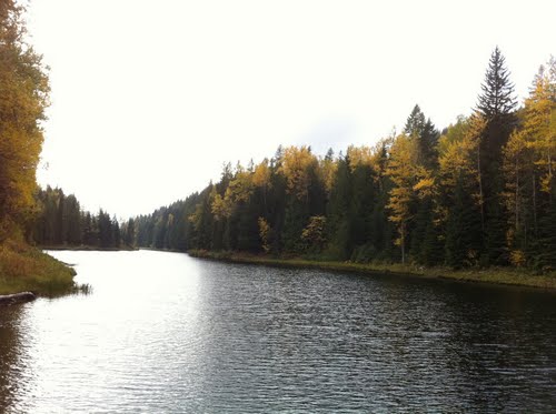 Rossland Stewardship Society offers opinions on proposed Star Gulch Swimming area