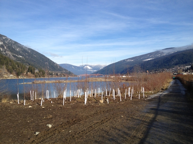 January — not much precipitation says Castlegar Weather Office