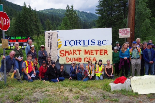 Smart Meter protestors join cross-Canada Citizens for Safe Technology rally