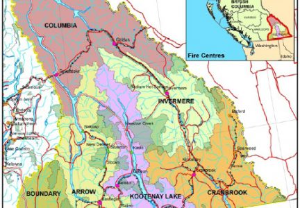 SE Fire Centre battling two lightning fires in Slocan Valley