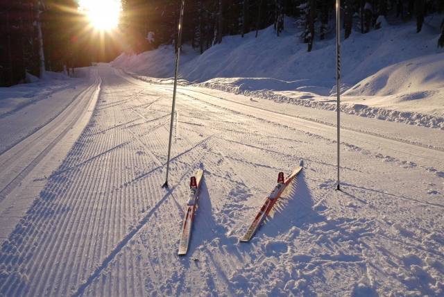 Snow! Get your XC Skis: the Swap is this Sat at the Prestige