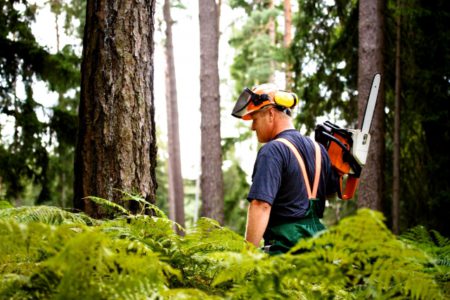 Tuition-Free Training Offered for Potential Transportation and Forestry Workers