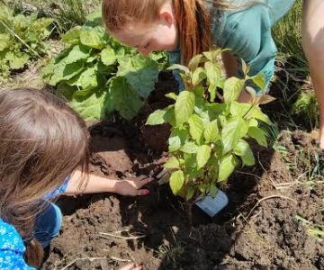 NEW Environmental Society in Rossland