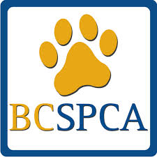 Trail/West Kootenay SPCA NOT closing its doors, despite rumours