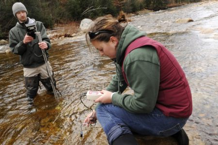 Citizen Science -- a Valuable Contribution