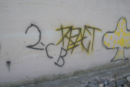 Police release graffiti photos in effort to tag culprits