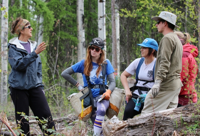 Selkirk College Forest Technology Students Shift to Mountain Classroom