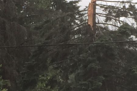 UPDATED: Nelson Hydro/Fortis BC crews deal with massive power outage from Monday's Thunderstorm