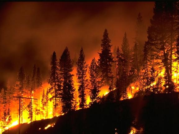 48 new wildfires in BC yesterday; 251 active wildfires burning in province