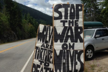 Woman stages one-person protest in support of wolves