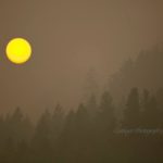 Hot weather could push B.C. to a new summer electricity demand record