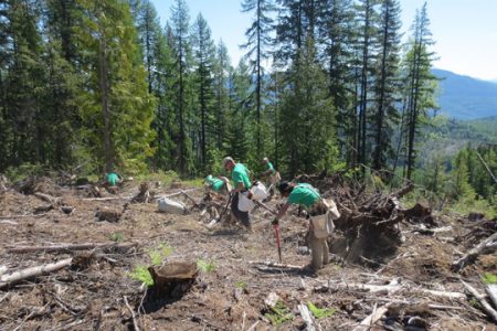 Atco Tree Planters Help Break World Record; Editor Gets Opinionated